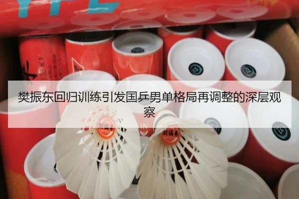 樊振东回归训练引发国乒男单格局再调整的深层观察